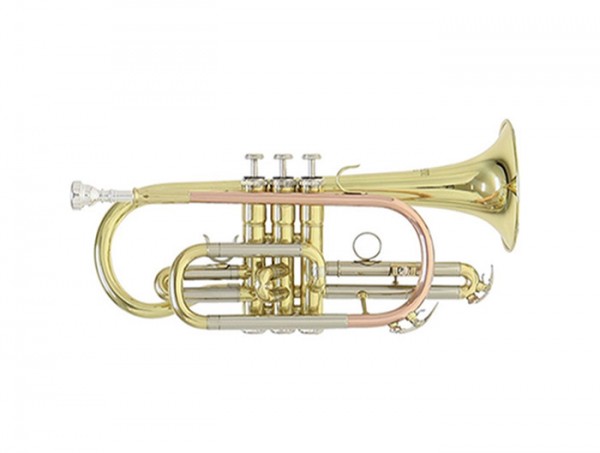 ROY BENSON CR-202
