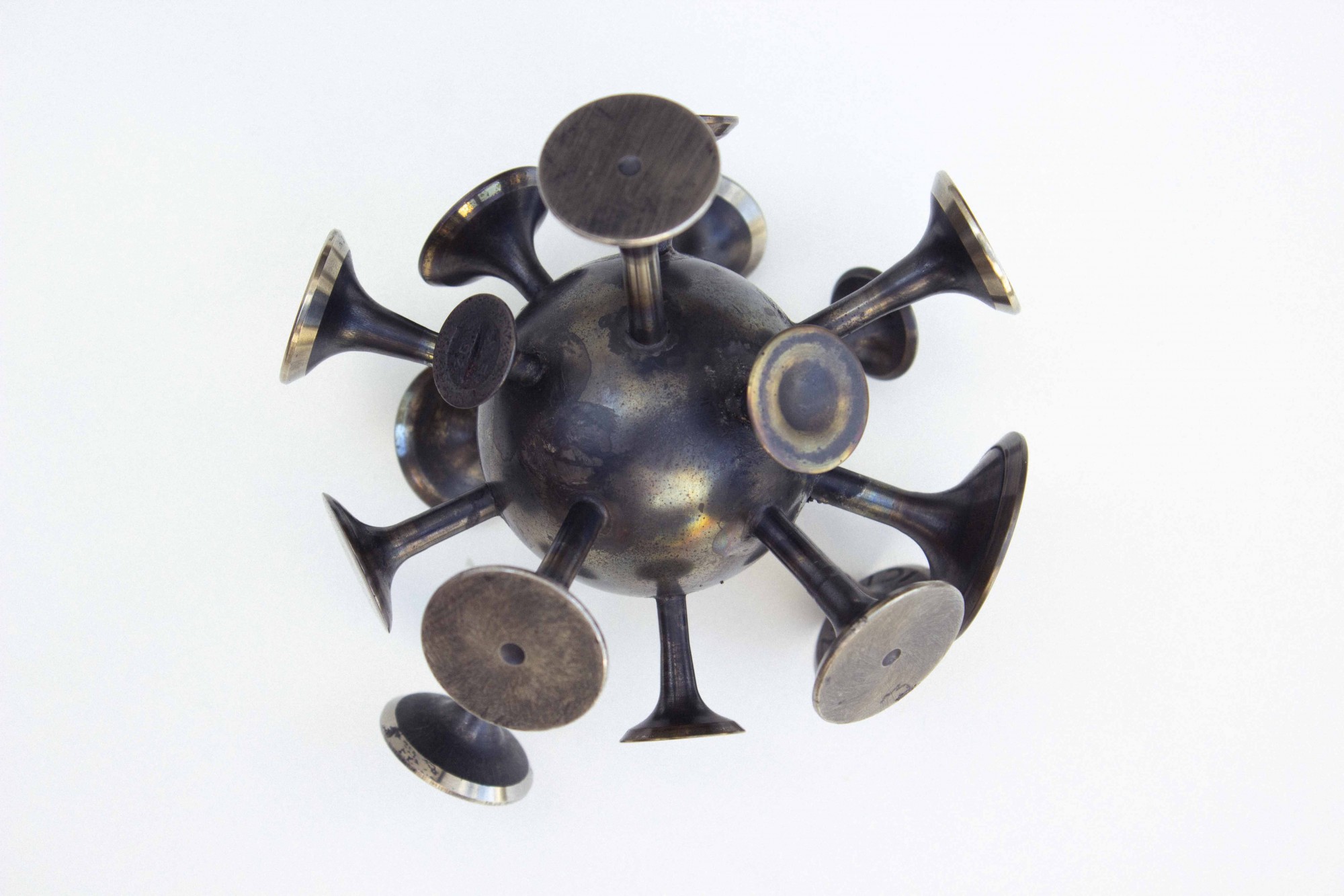 SARS COVID 19 (variant 18)