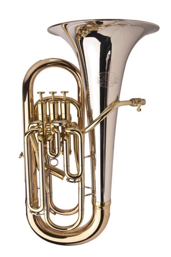 ADAMS E1C