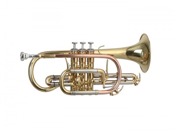 ROY BENSON CR-302
